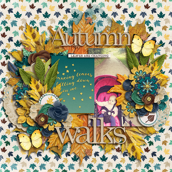 Autumn Walks