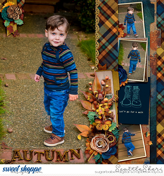 Autumn Walks