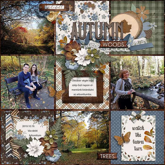 Autumn woods