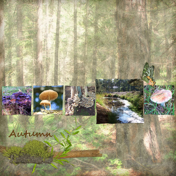 Autumn