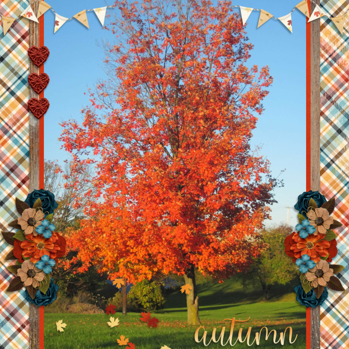 autumn