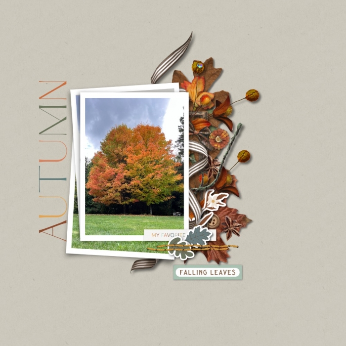 Autumn