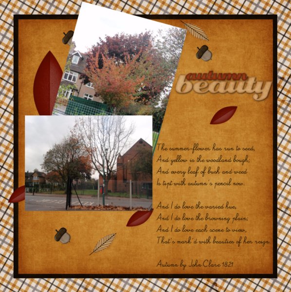 Autumn_Beauty