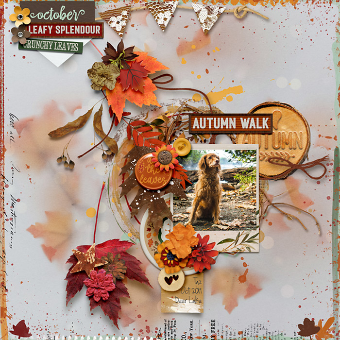 AutumnWalk