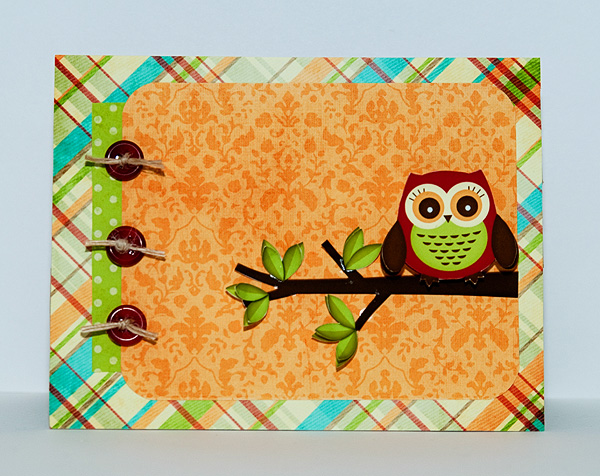 Awesome Owl Card