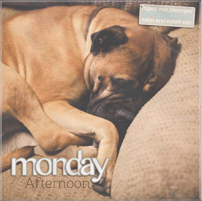 AWITL: Monday Afternoon (left)