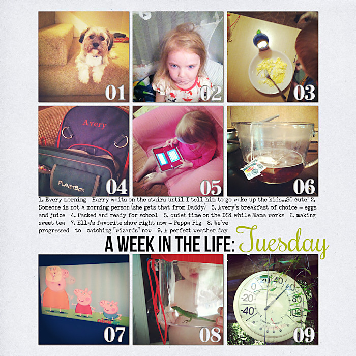 AWITL Tuesday p1