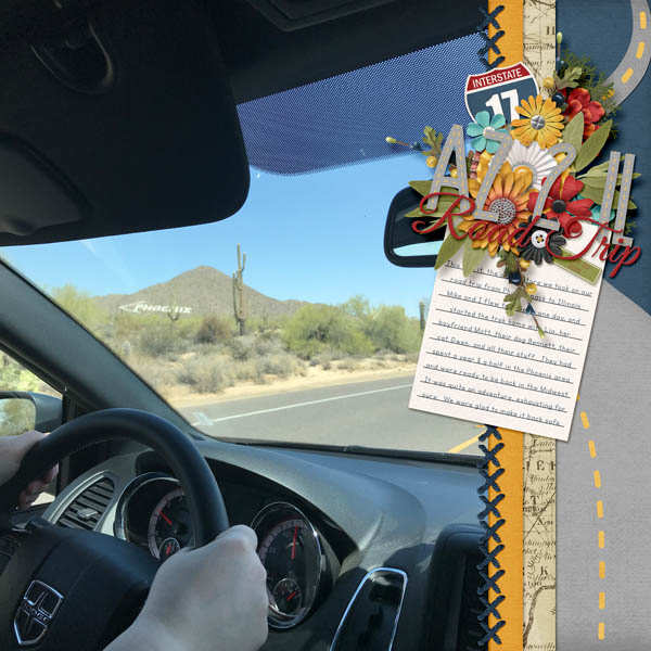 AZ 2 IL Road Trip