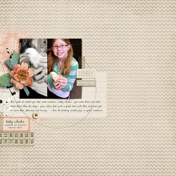 baby chick