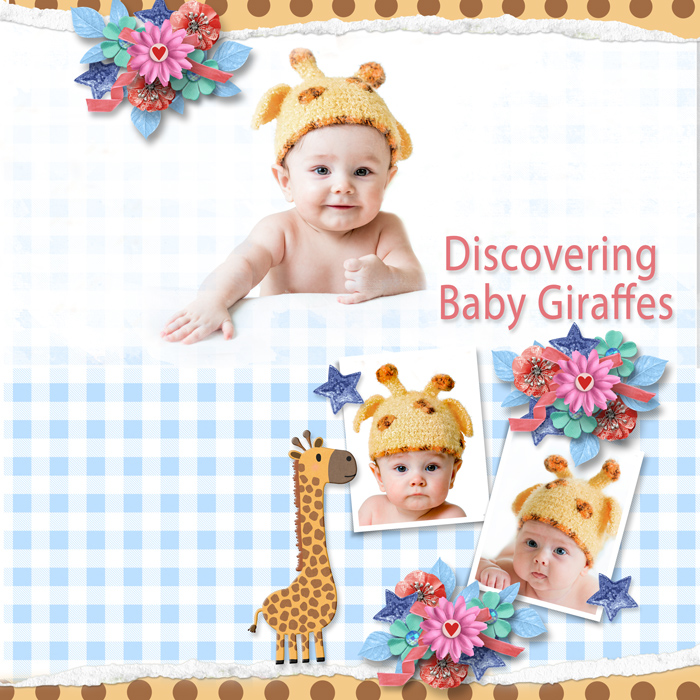 Baby Giraffes