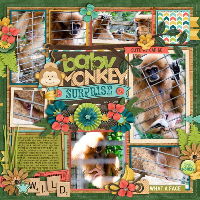 Baby Monkey Surprise
