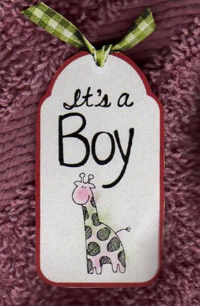Baby Tag