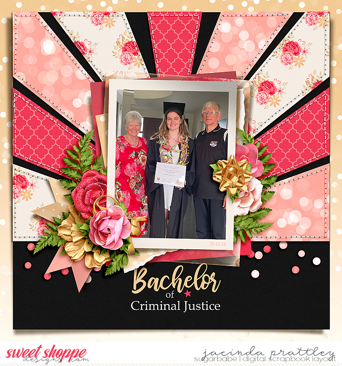 Bachelor of Criminal Justice
