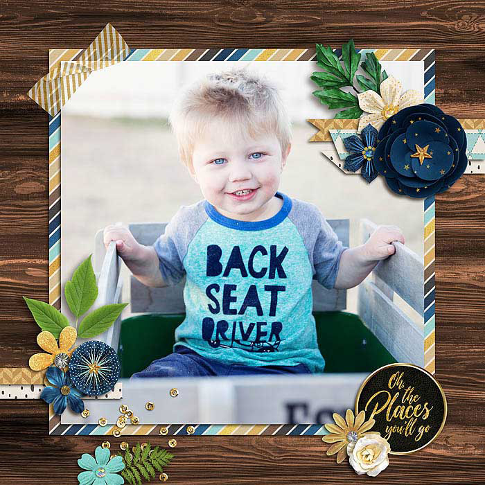 Back Seat Driver (left)