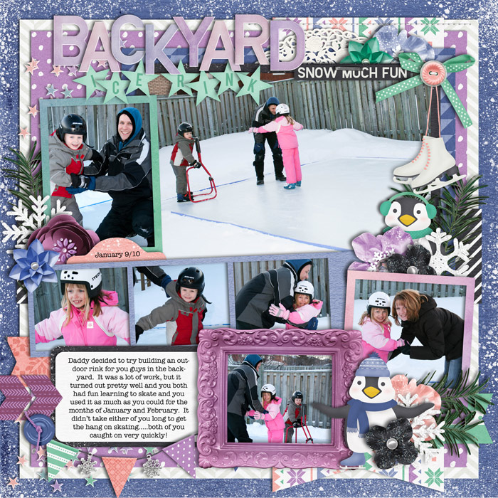 Backyard Ice Rink