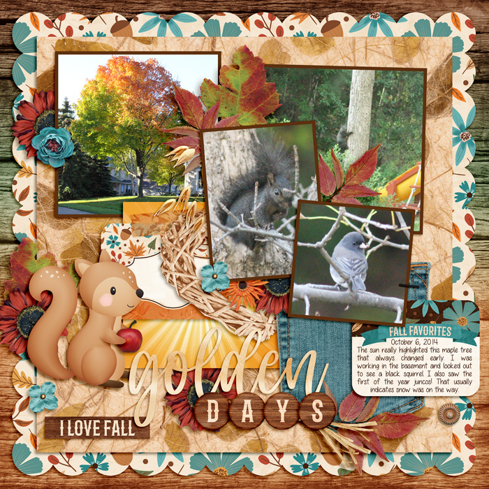 Backyard in fall