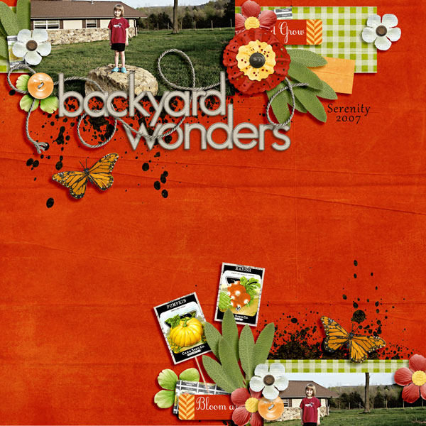 backyard wonders