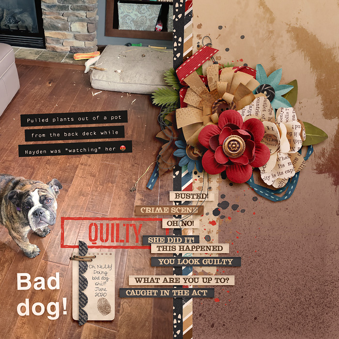 Bad Dog