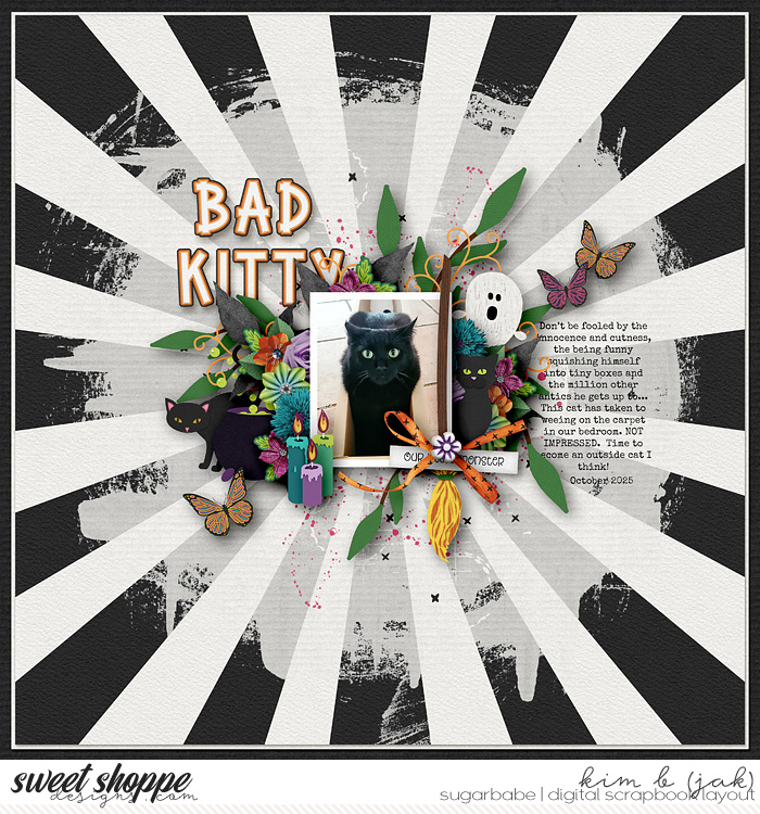 Bad Kitty