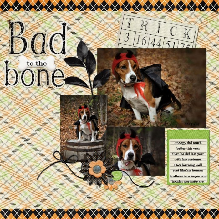 Bad to the Bone