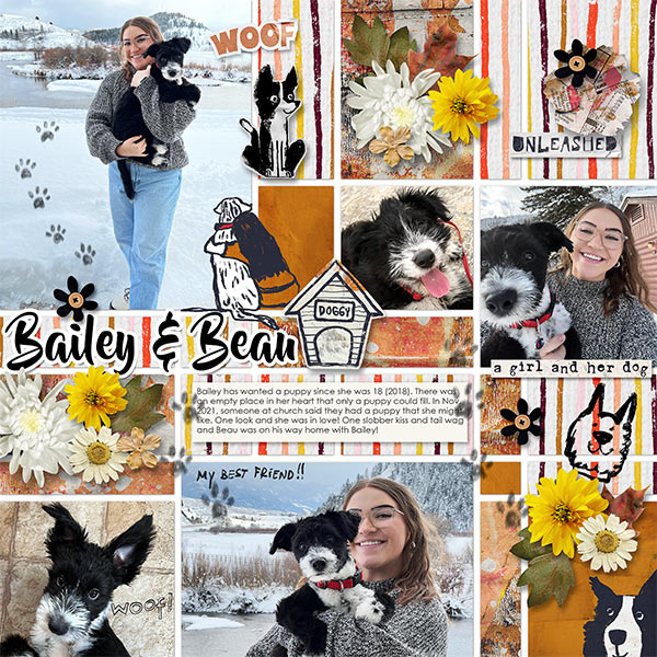 BAILEY & BEAU