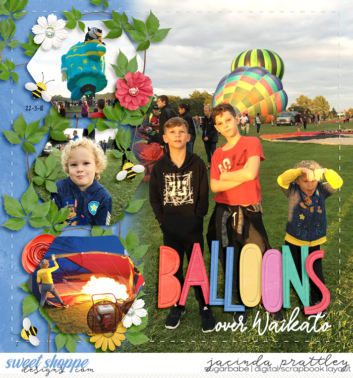 Balloons over Waikato