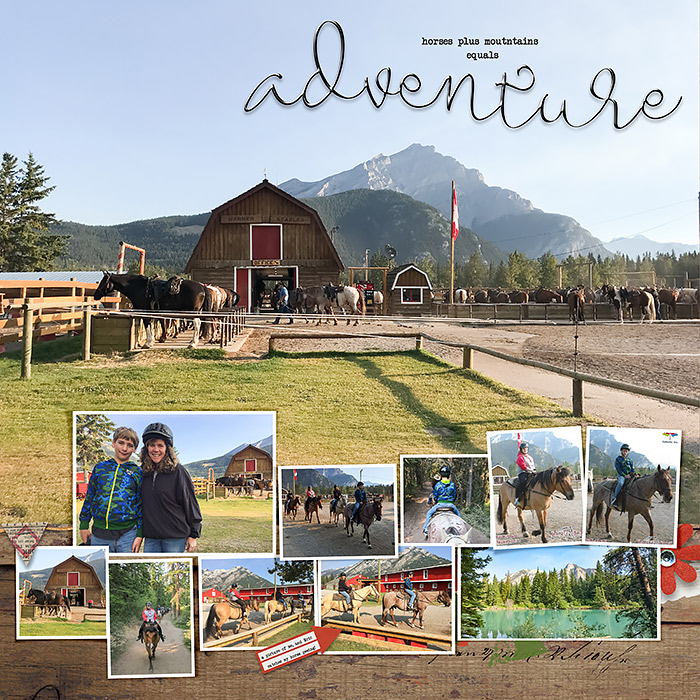 Banff Horses