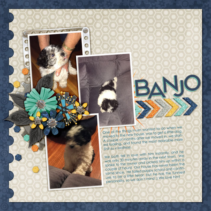 Banjo