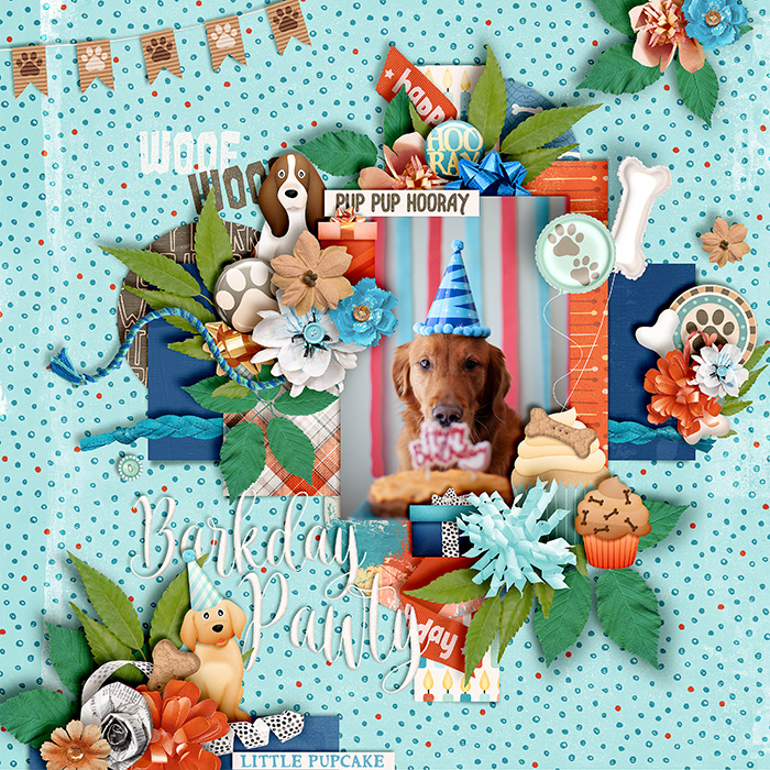 Barkday Pawty