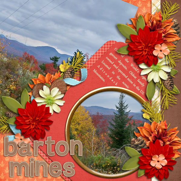 Barton Mines