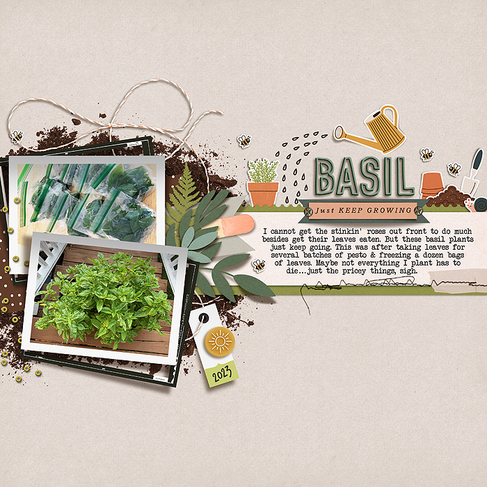 basil