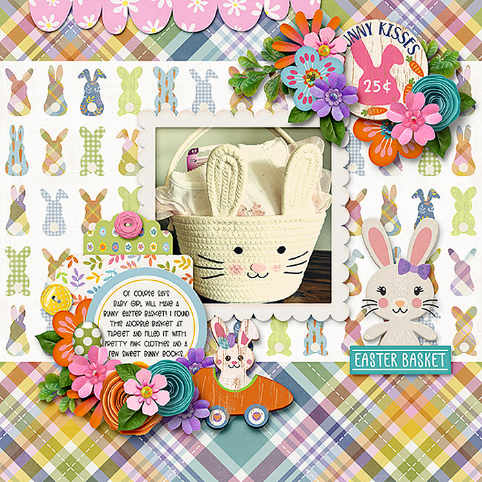 Basket for Baby