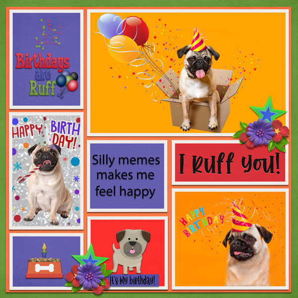 BD Are Ruff