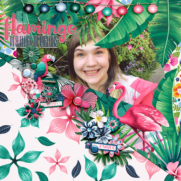 Be A Flamingo