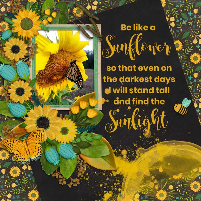 Be Like a Sunflower