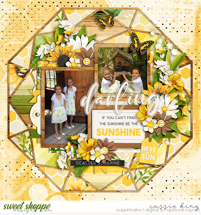 Be the Sunshine