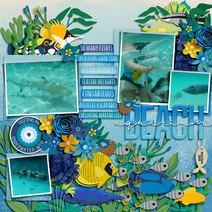 beach aquarium