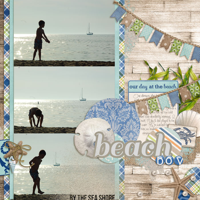 beach boy.