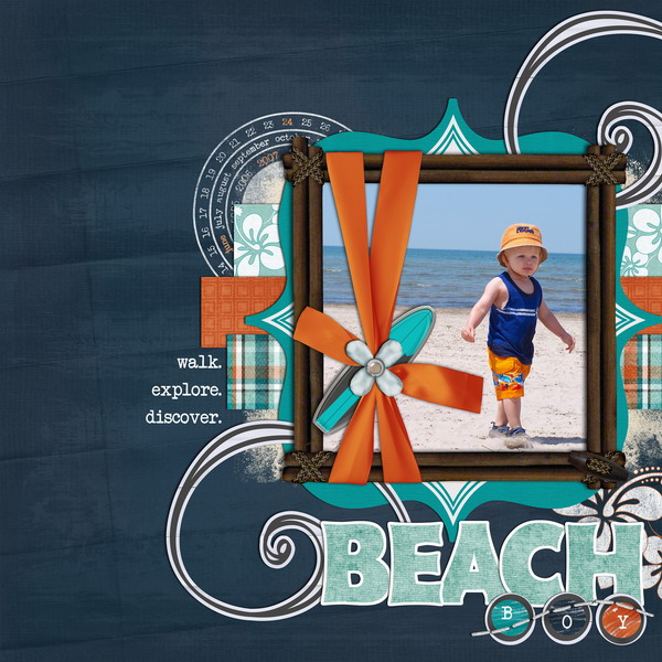 Beach Boy