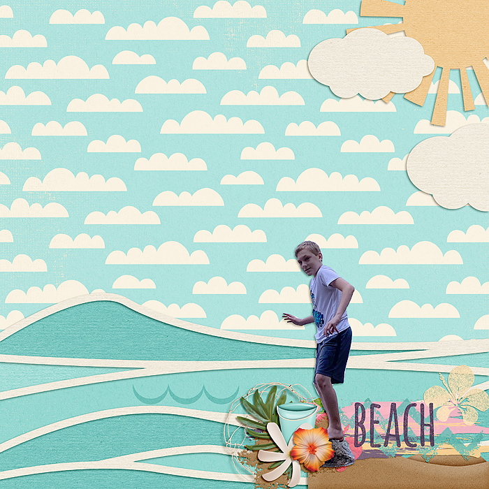 Beach Boy
