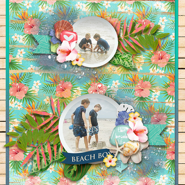 Beach Boys