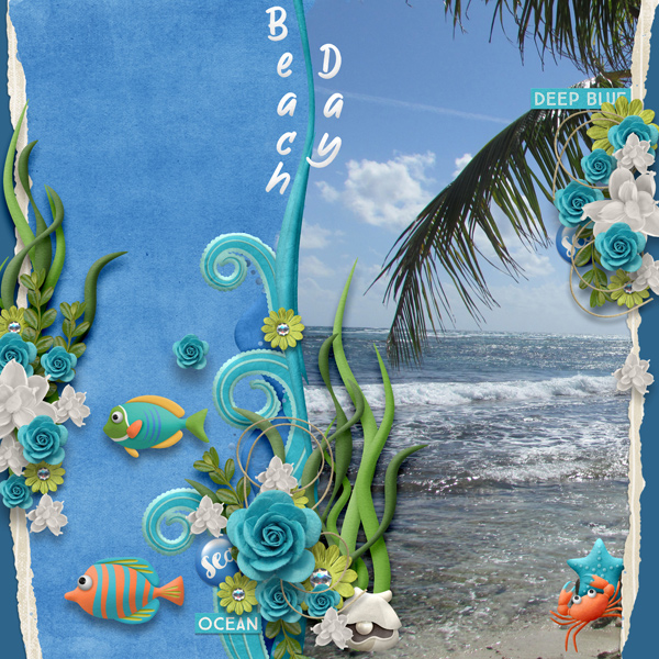 Beach Day