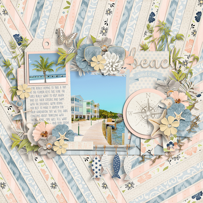 Beach Dreaming