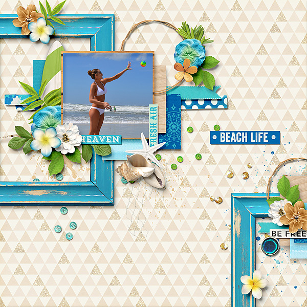 Beach Life