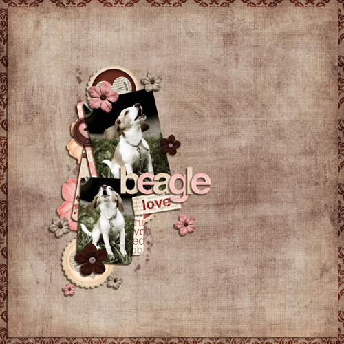 Beagle Love