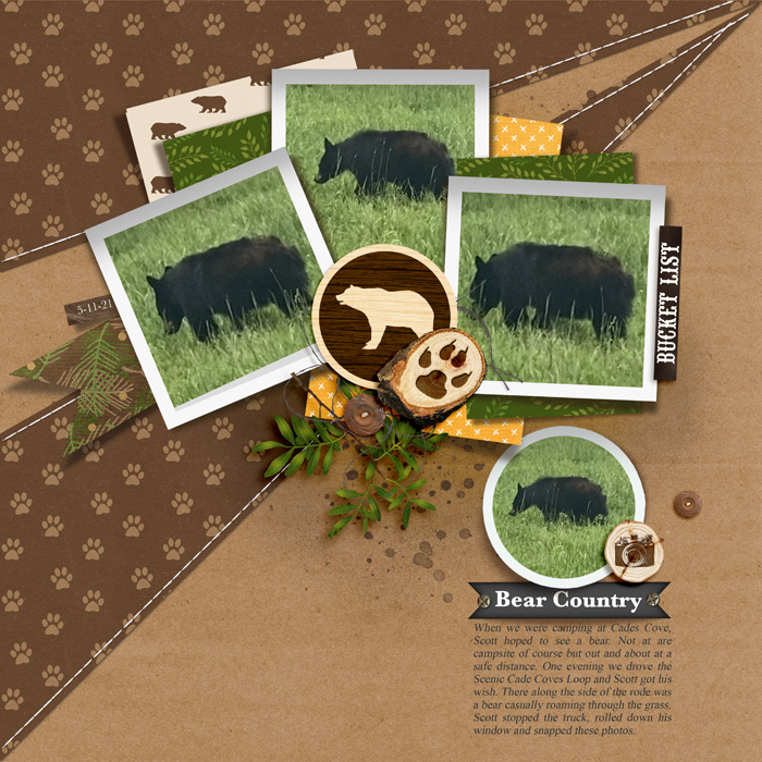 Bear Country
