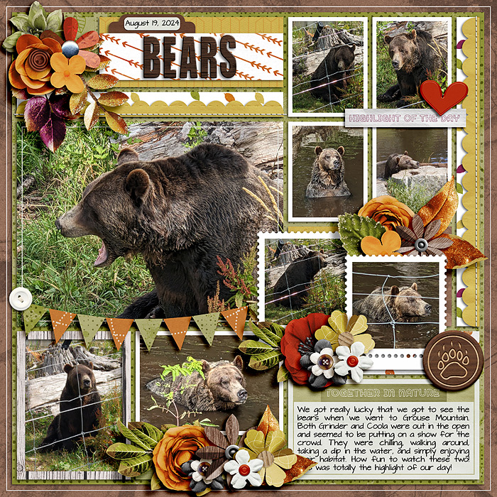 Bears