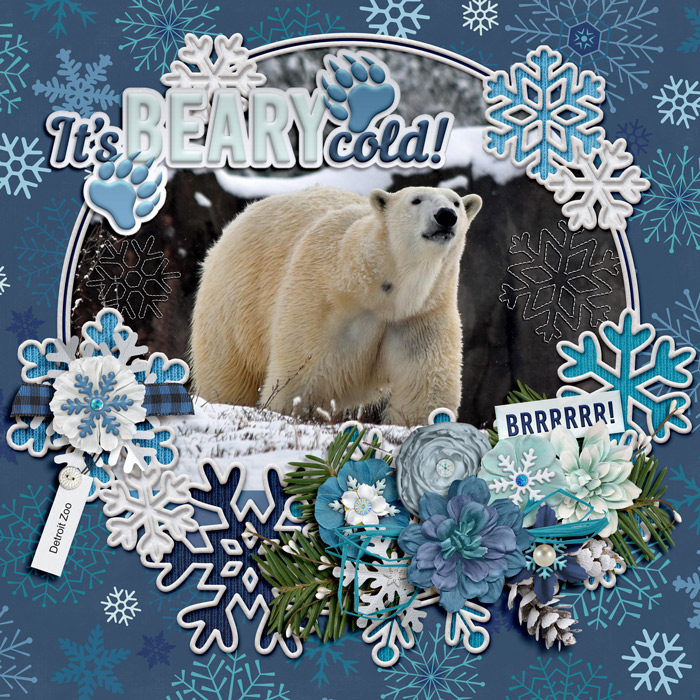 beary cold