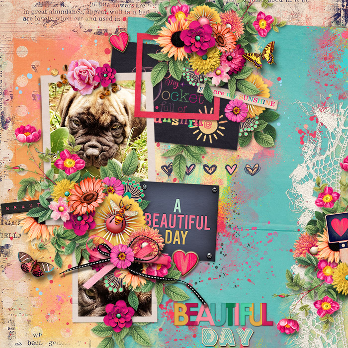 Beautiful Day