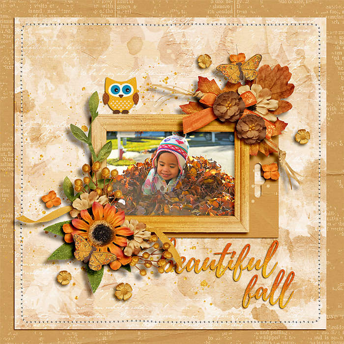 Beautiful Fall
